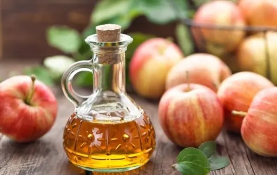 apple cider vinegar