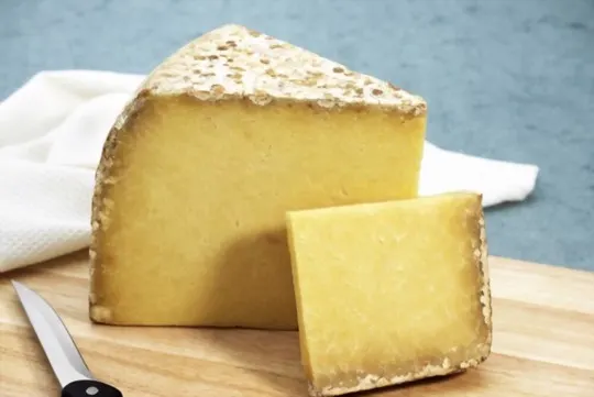 cantal cheese