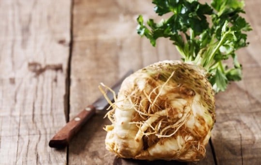 celeriac celery root