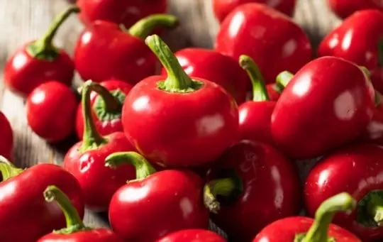 cherry pepper