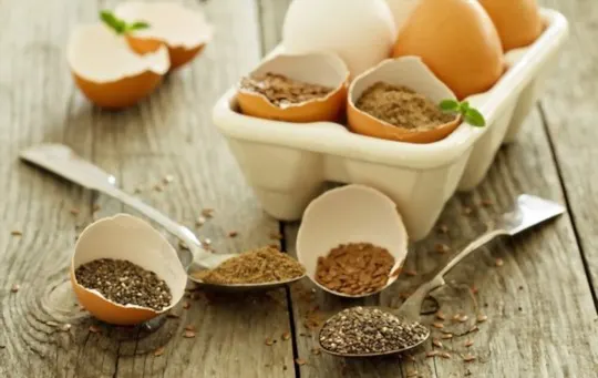 chia egg