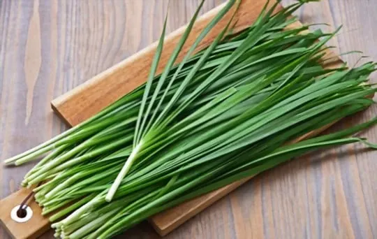 chives