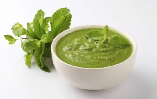 coriander mint chutney