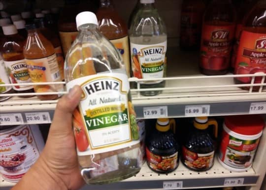 distilled white vinegar