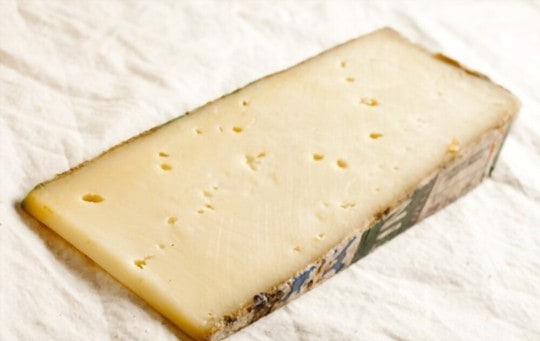 fontina cheese