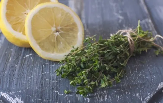 lemon thyme