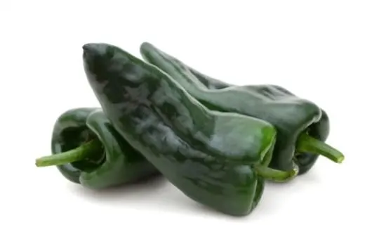 poblano pepper