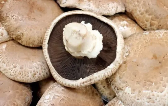 portabella mushrooms