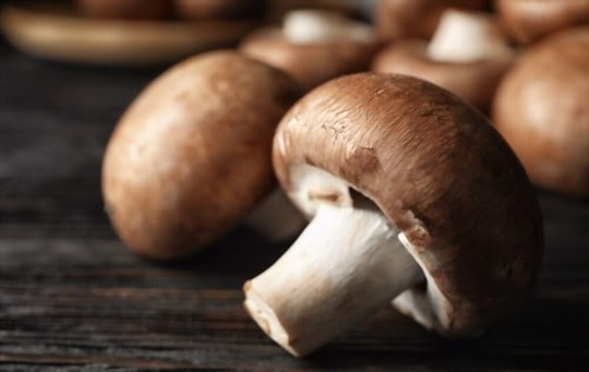 portobello mushrooms