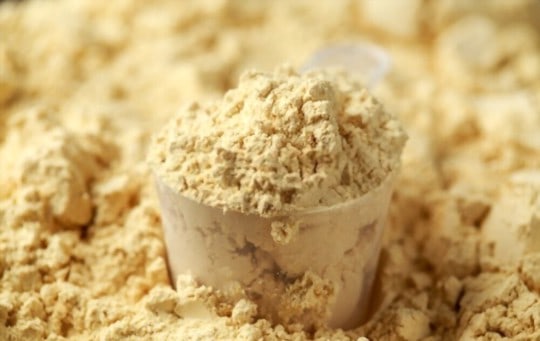 vegan pea protein powder