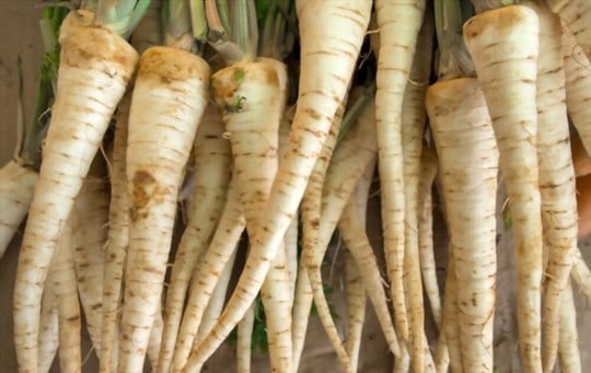 white carrots