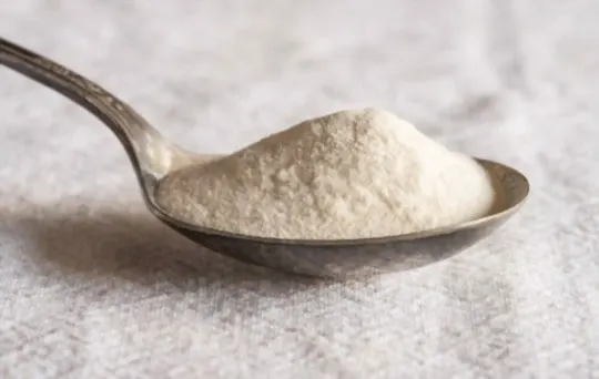 xanthan gum