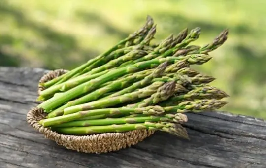 asparagus