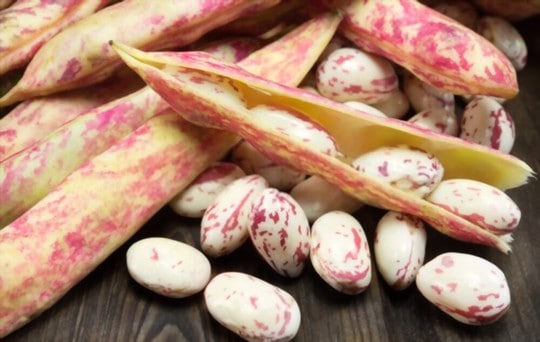 borlotti beans