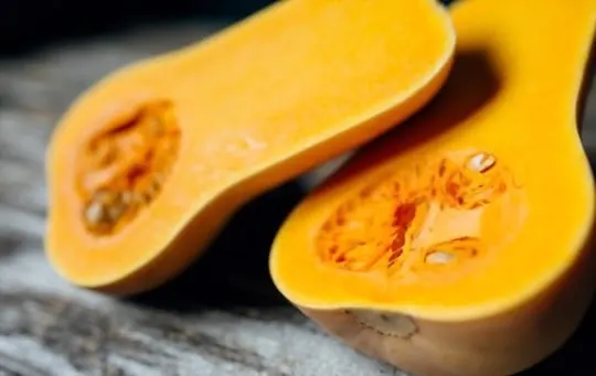 butternut squash