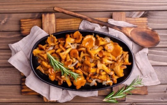 chanterelle mushrooms