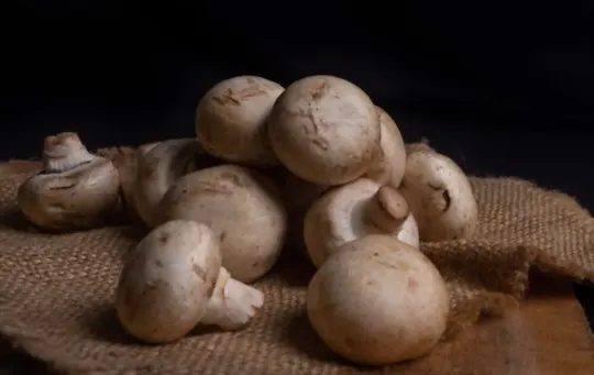 chestnut mushrooms