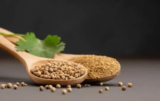 coriander seeds