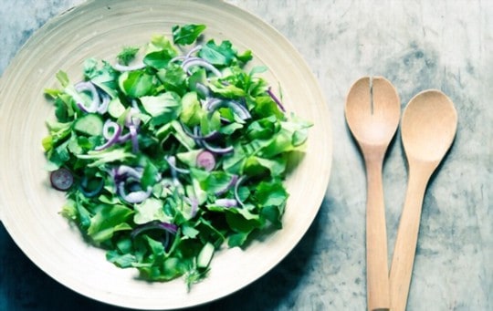 crunchy leafy green salad