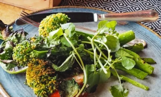 grilled broccoli and radish salad