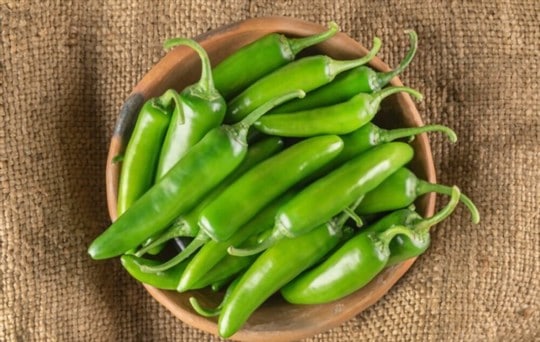 jalapeno peppers