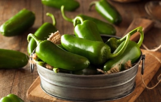 jalapeo pepper