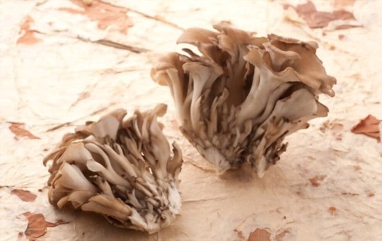 maitake mushrooms