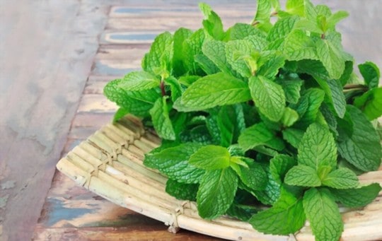 mint leaves