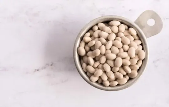 navy beans