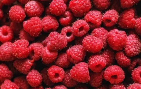 raspberries