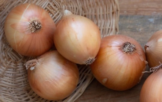 red or yellow onions