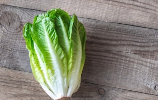 romaine lettuce