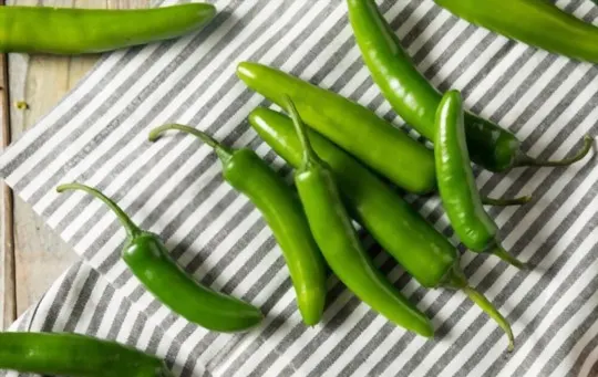 serrano pepper