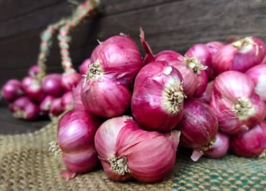 shallots