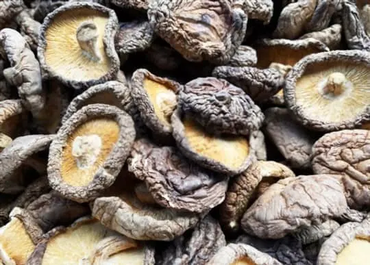 sliced dried mushrooms