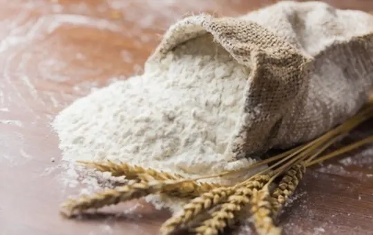 wheat flour