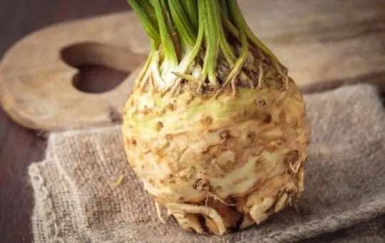 celeriac