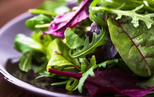 fresh green salad