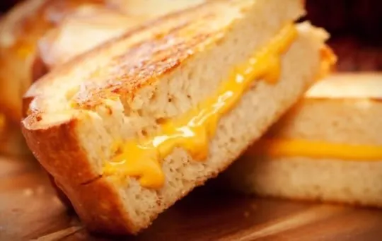 grilled cheese sandwich