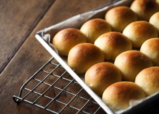 homemade dinner rolls