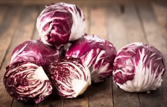 radicchio