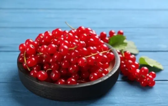 red currants