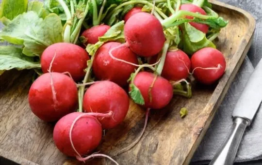 red radish