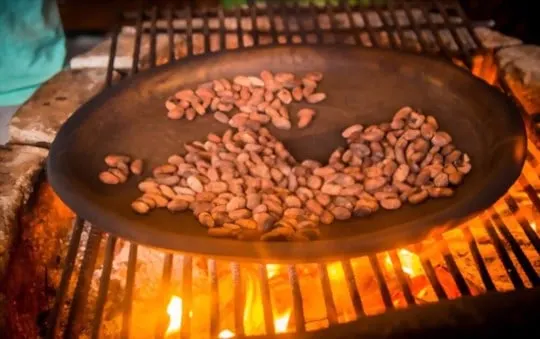 roasted cocoa beans