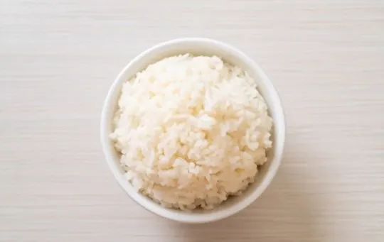 steamed or boiled rice