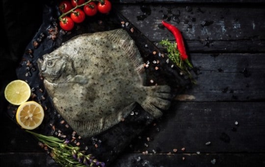 turbot