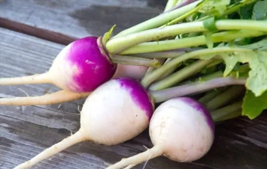 turnips