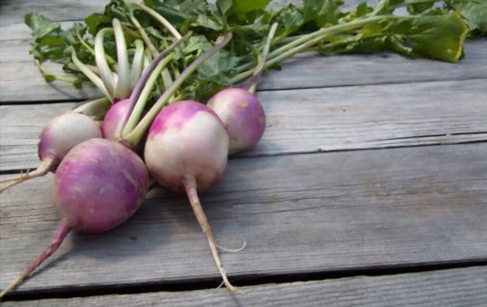 turnips