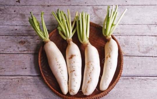 what daikon radish