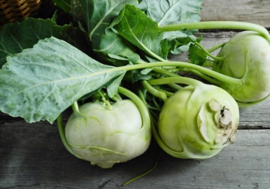 what kohlrabi